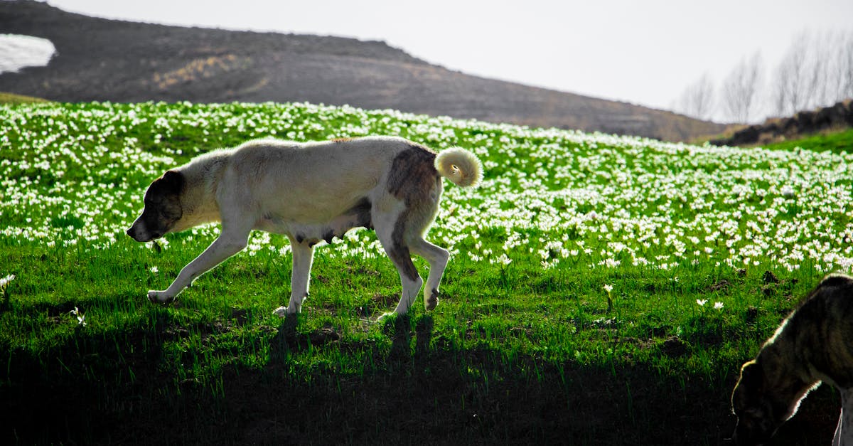 Kumburgaz Elit Genç Escort Aylin